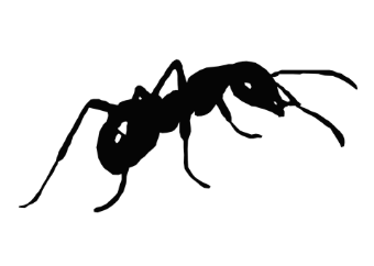 Bar-Kayma for Culture, Art, Music and Peace