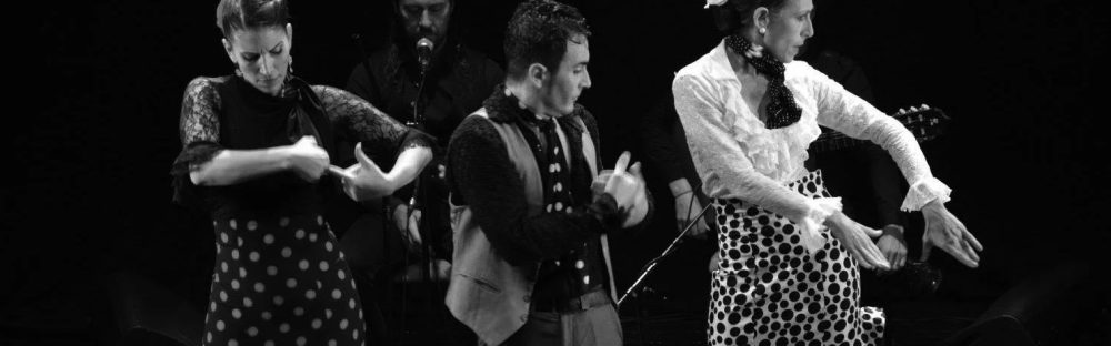 FlamencaStudio52e